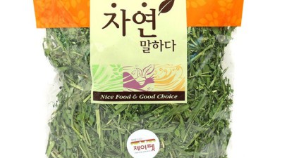 기니피그제네시스? 털뿜뿜 귀염둥이 위한 꿀팁 대방출! ✨